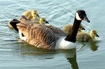 IMG_10029.jpg