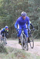 Highlight for Album:   SISNDCXL Rd 10 - Sansom Wood 
 