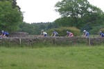 IMG 6477