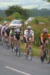 IMG 6530