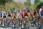 IMG_7983.JPG