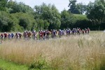 IMG_7992.JPG