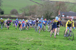 IMG_7846.jpg