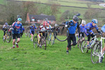 IMG_7848.jpg