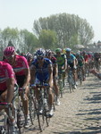 WandigniesBoonen2.JPG