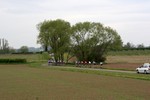 Rogers Race (43).JPG