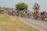 IMG_3460.jpg