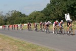 Darly Moor E123 (18).JPG
