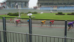 DSC00607.JPG