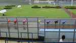 DSC00666.JPG