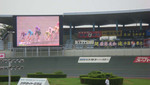 DSC00684.JPG