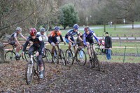 Highlight for Album: Midlands Champs,Senior race at Markeaton Park.